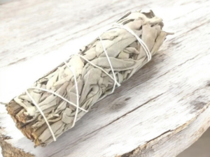 Sauge Blanche Californie 11 cm