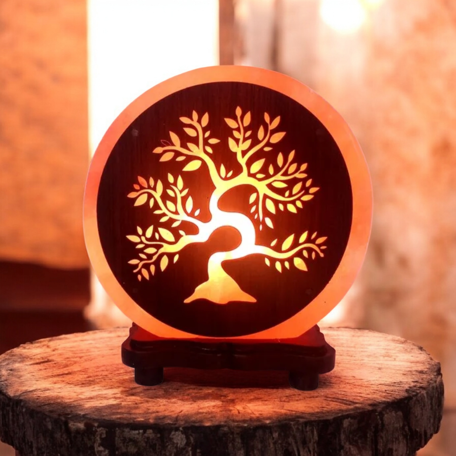 Lampes de sel de l’Himalaya